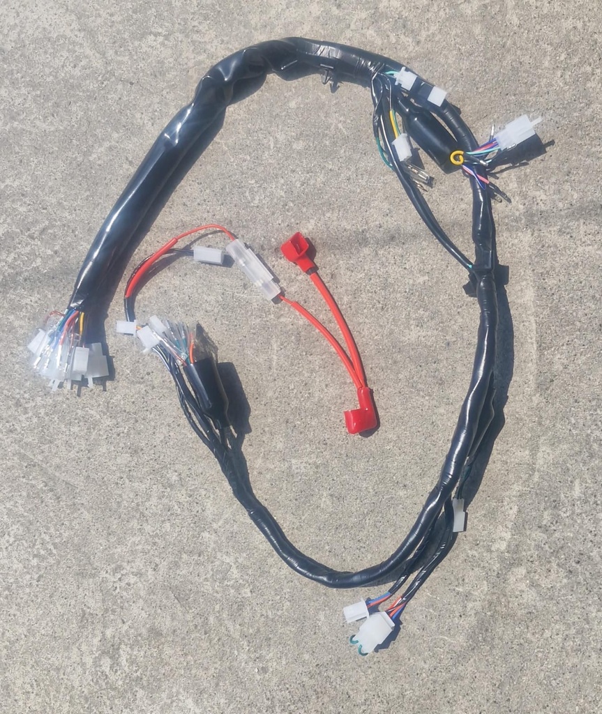 FIRE 150 - ARNES AÑO 2017-2022 